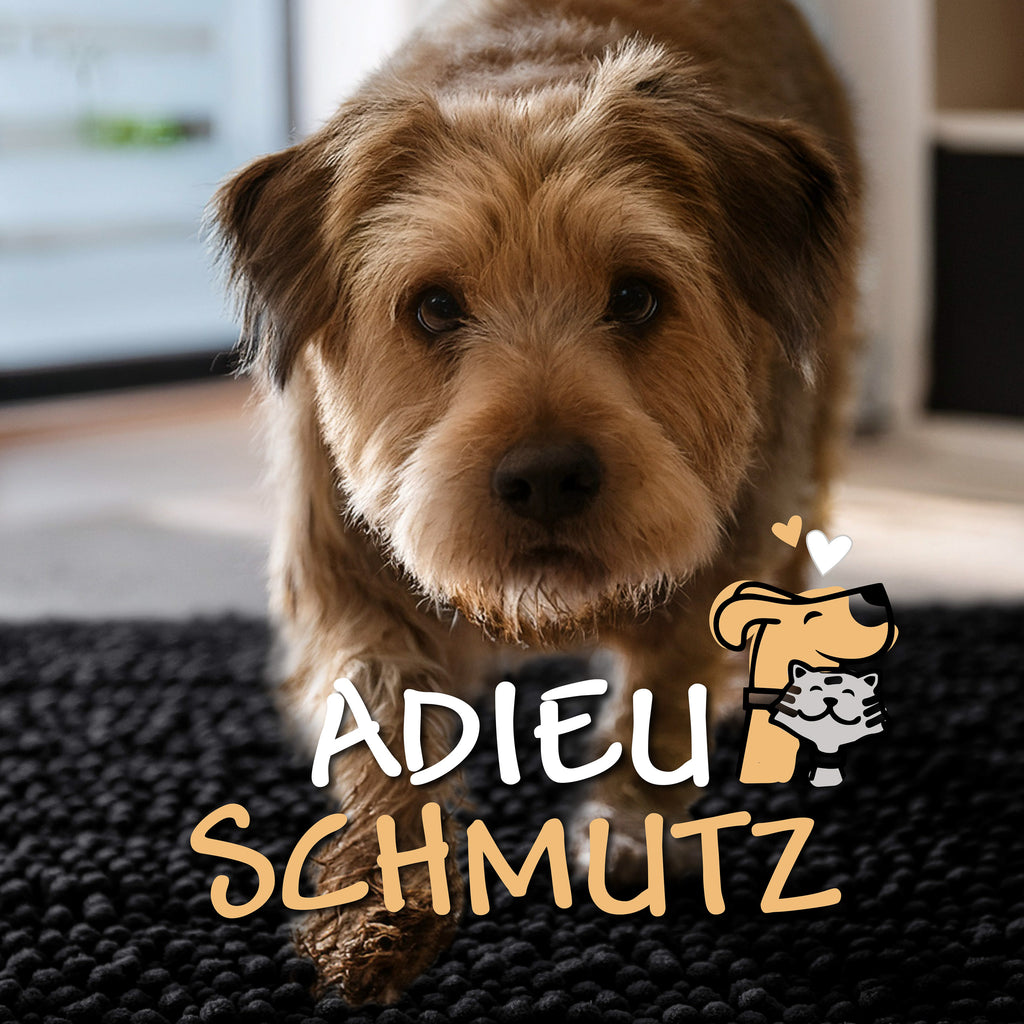 Grafik: Hund auf dem Cooper-Teppich mit Text Adieu Schmutz – Teppich fängt Schmutz im Eingangsbereich auf