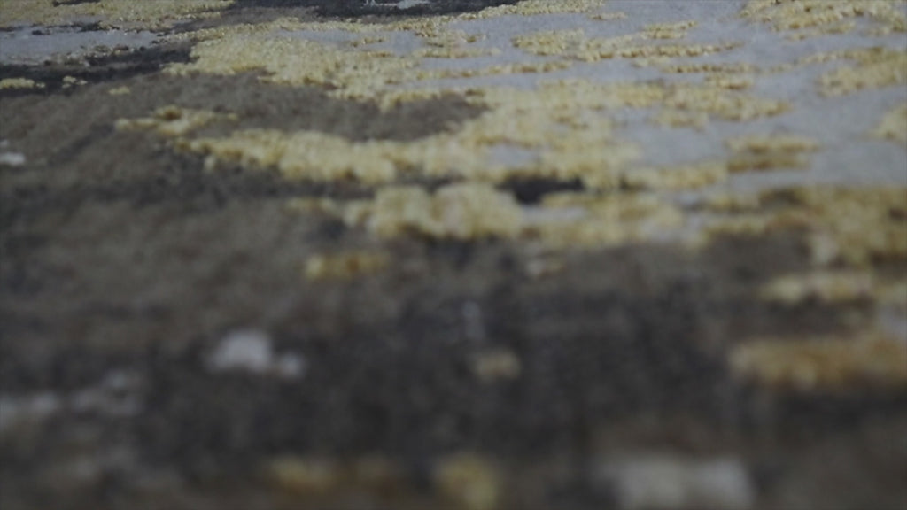 Esprit Kurzflor Teppich Gold aus Wolle "Manhattan"