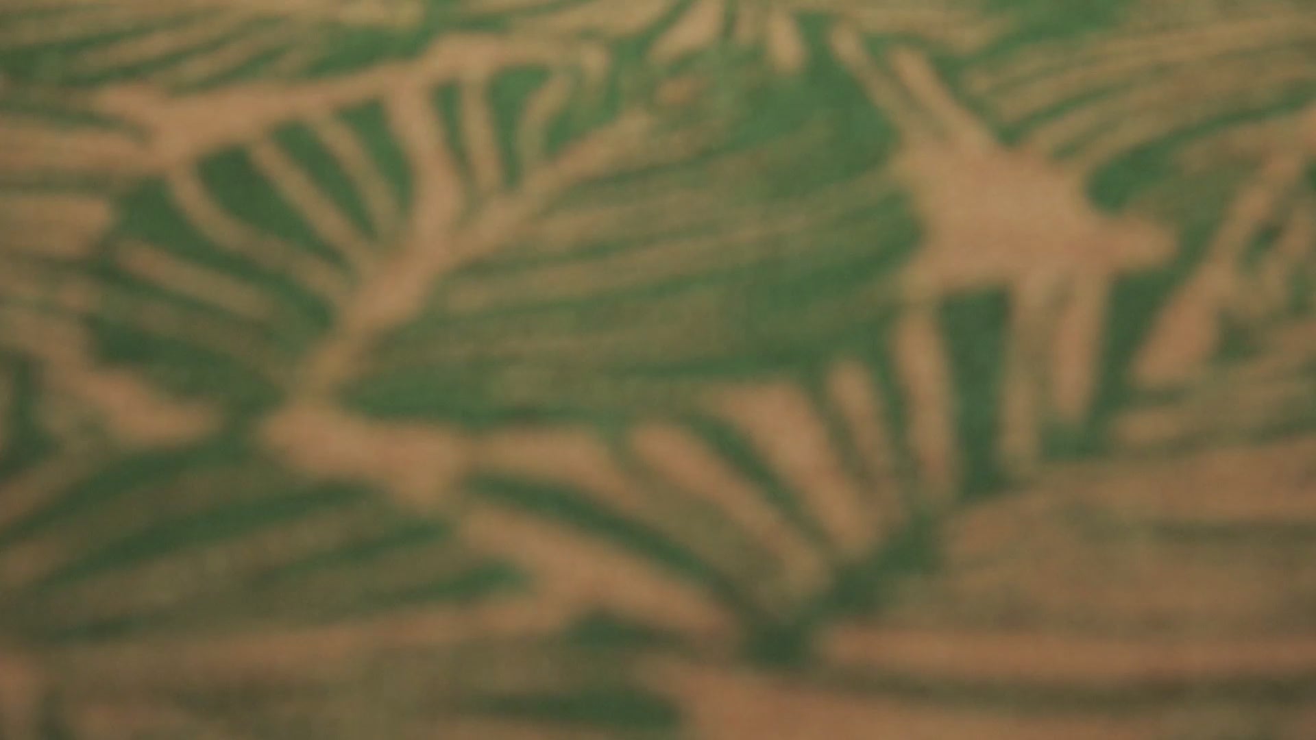 Fußmatte aus Kokosfaser Natur Grün "Jungle Mat" WECONhome