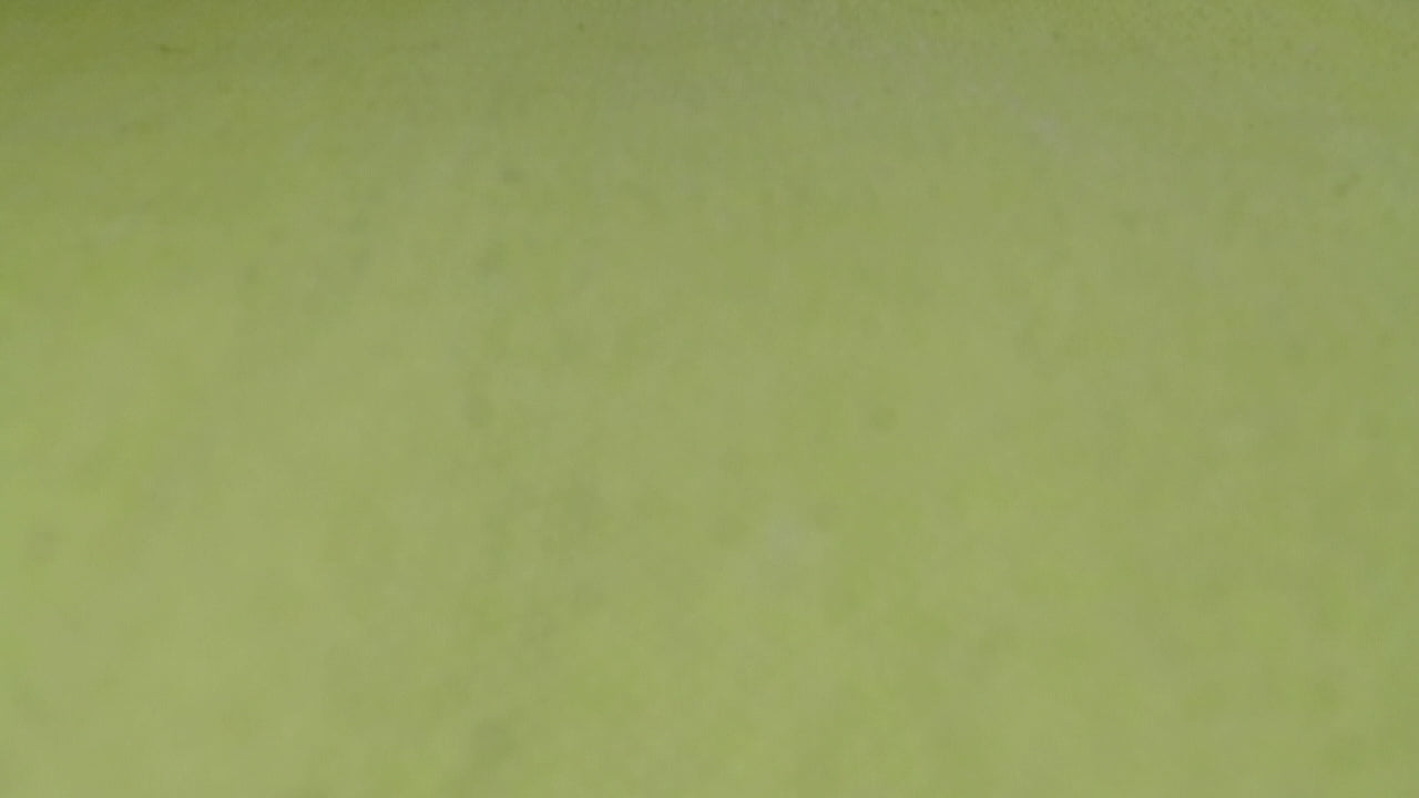 Kelim Teppich Grün aus Baumwolle "Nizza" Green Looop