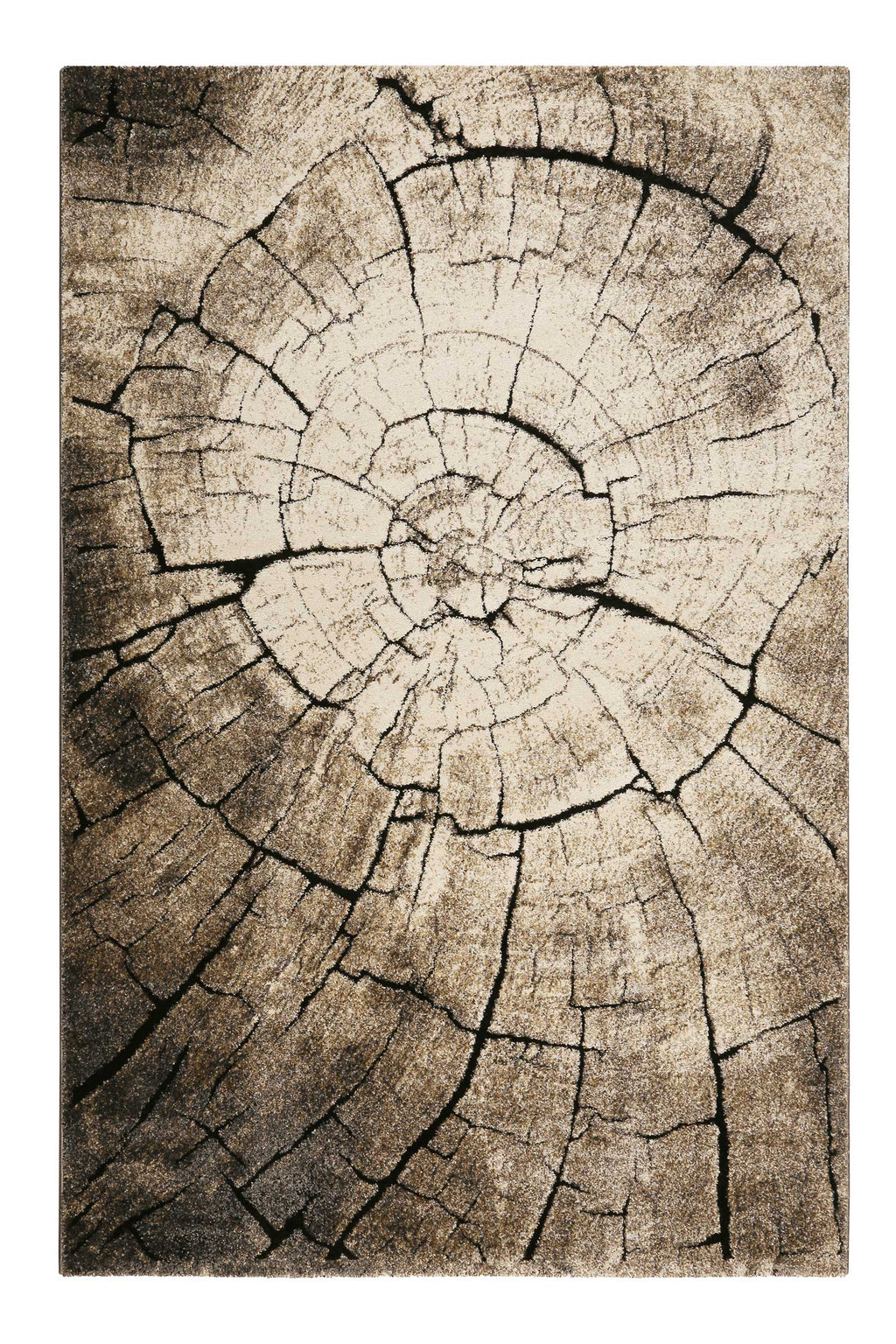 WECONhome Kurzflor Teppich "Wild Oak" holz braun