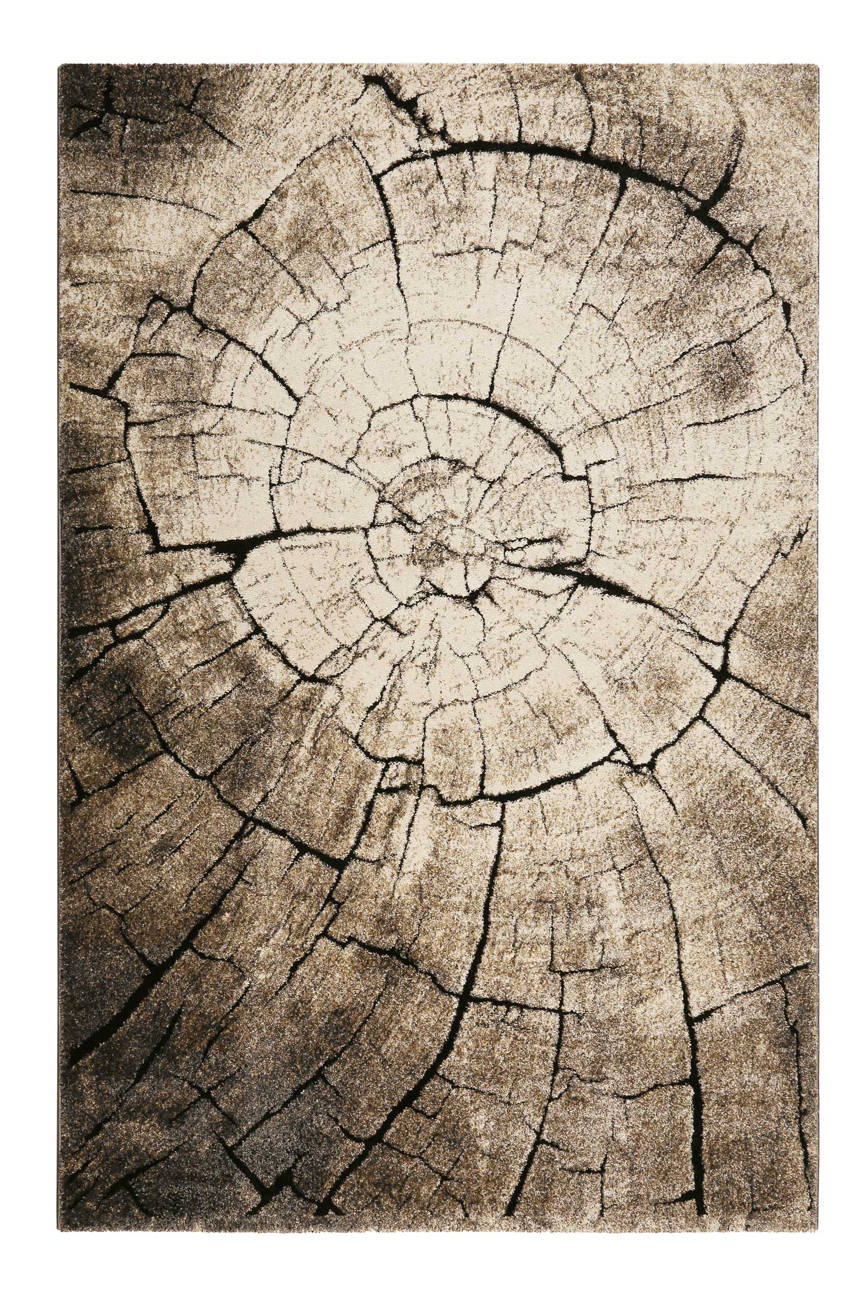 WECONhome Kurzflor Teppich "Wild Oak" holz braun