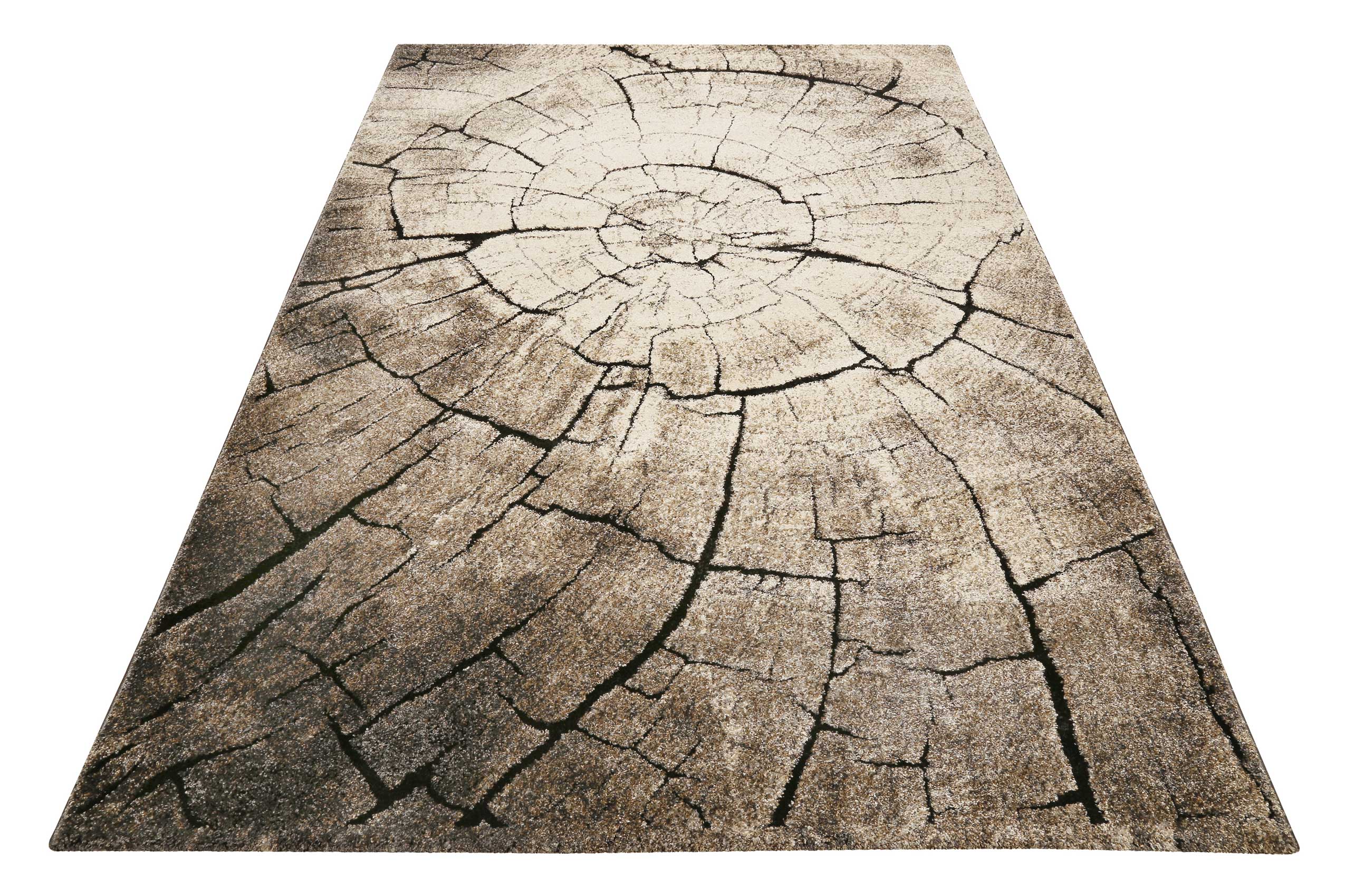 WECONhome Kurzflor Teppich "Wild Oak" holz braun